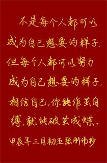 关于感慨万千，球场风起云涌破茧成蝶的信息